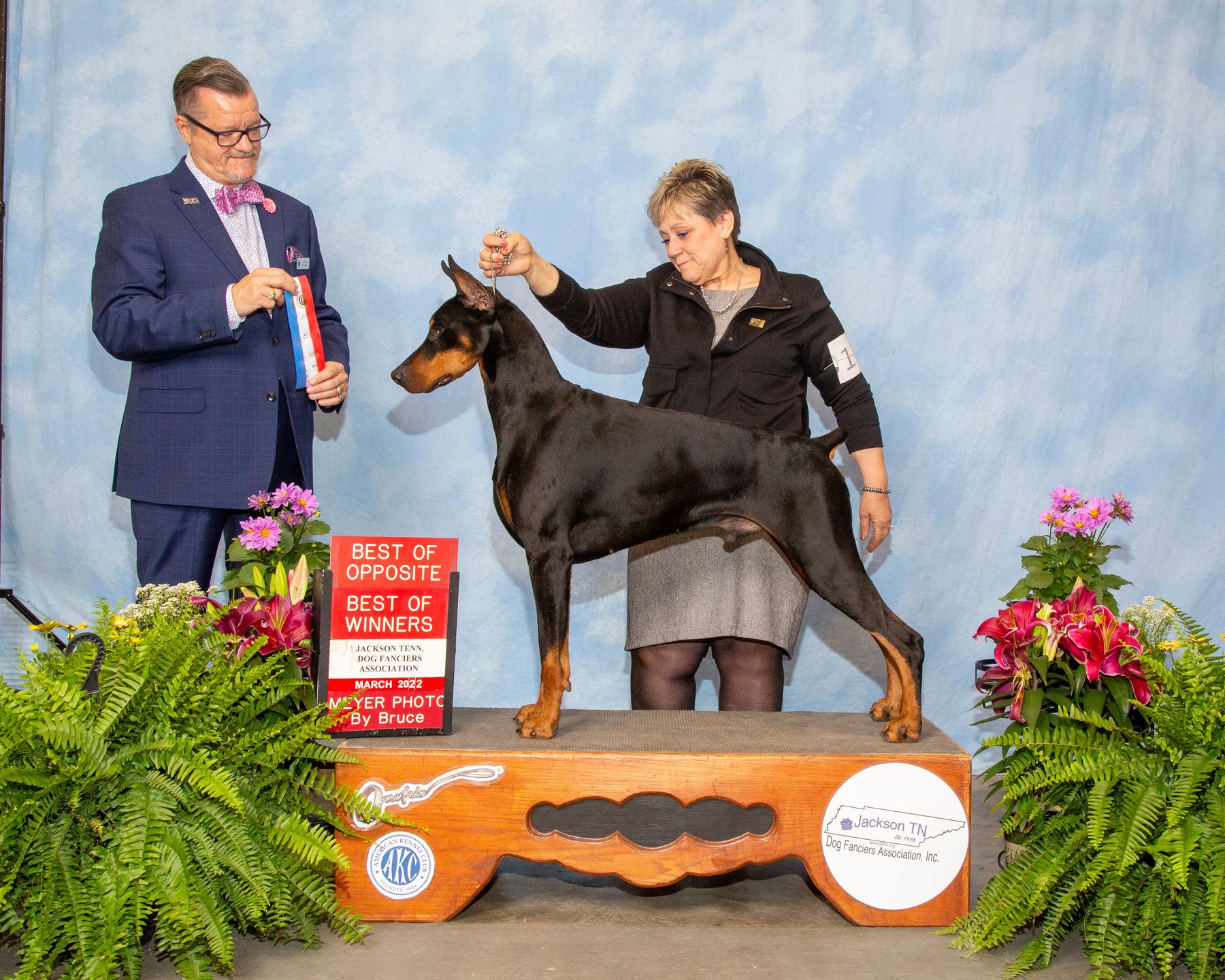 Doberman shop kennel club