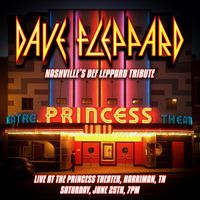 Dave Fleppard LIVE (Def Leppard Tribute)