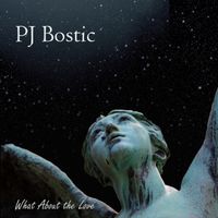 What About the Love (FLAC) by PJ Bostic