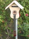 Coming Soon - Guitar Birdhouse