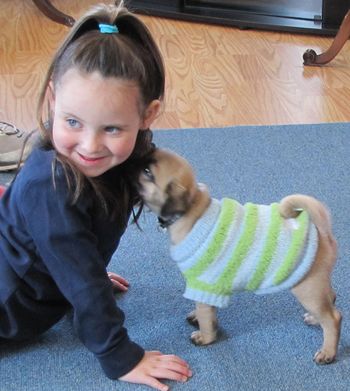 Baby Milo giving Cyara pug kisses.
