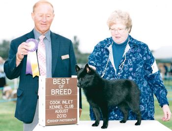 Mardeck N'Logaven's Snow Classic, co-bred by Shirley Smith & Marnie Layng. Owned by Dian Tamas. Shown handled by Dian Tamas, Arctic Gold Schipperkes.
