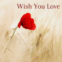 Wish You Love by Nashville Tribute Band