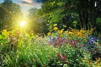 Reiki Level One Self Healing Foundation (Shoden) with Emrys Skye at Spiritual Flow Tuesday 17th October