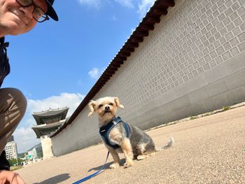 Gyeongbokgung Palace
