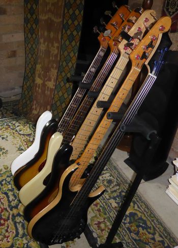 Basses on the recording
