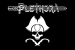 Plethora 'Lucky the Pirate' Flag