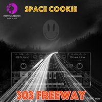 303 Freeway by Space Cookie (16bit wav) by Space Cookie
