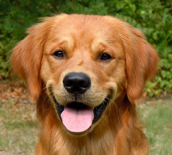 Smil'in Buzz photo... the boy is just too cute. Wakemup Dangerously Wired WC 17.5 months old
