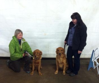 Wakemup pups in Oregon. Karen and Booker (Play Litter) Marty & Yuba (Wild Litter)
