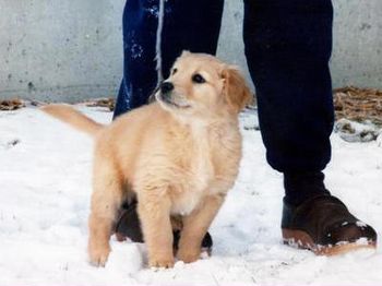 Sweet Baby Bounder.
