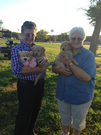 Dusty & Barbara Kay Garrison going home to Alaska from GRCA National Specialty in Wichita Falls, TX.  Taking another passenger (River) for Denise Anderson.
