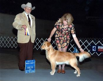 Tate winning Best of Breed over a special at 12 months of age!
