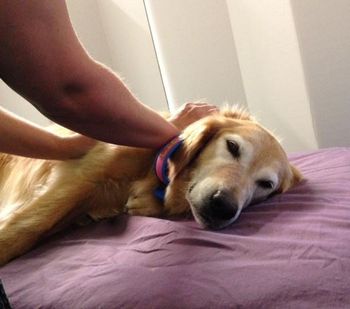 Danger getting a massage - July 24, 2014
