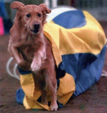 Bounder coming out of the chute!
