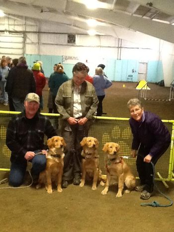 The 3 Alaska girls from the Play Litter - March 2014
