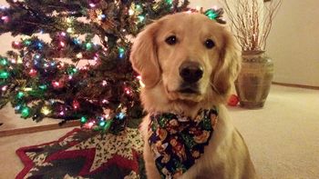 Oakley - Christmas 2014
