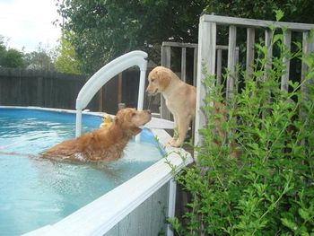 The pool opened! Yee haw!!!
