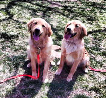 Buzz & Bro Wrigley!
