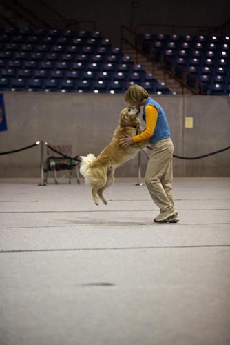 Vicki giving Danny a kiss at the GRCA National Specialty!!
