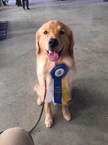 Oct 4, 2014 Wrigley got his RN title!
