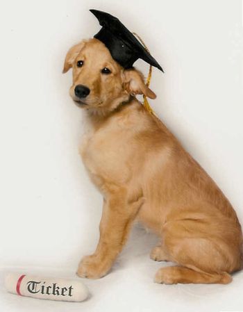 Puppy Graduation Feb 2012
