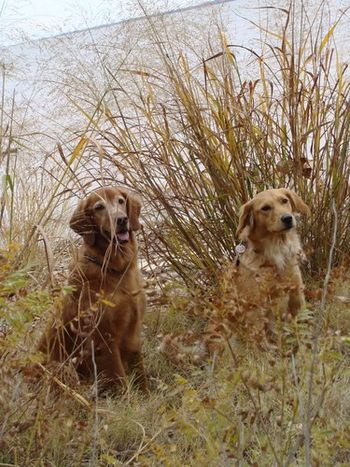 Murphey & Tryn - Cheney Lake
