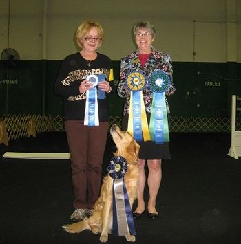 Amazing day they had! 3-30-13 High-n-Trial, High Combined and their Obedience Trial Championship, Congratulations to OTCH Hi-Star's Flash of Light on a Stormy Night RN CGC
