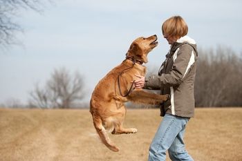 Echo teaching Vicki to catch her!
