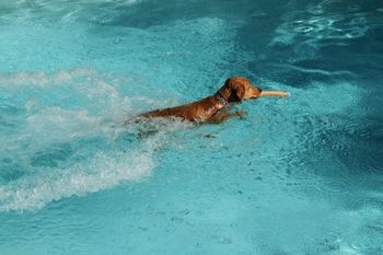 Swimming!
