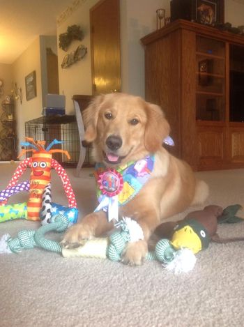 Happy Birthday, Oakley & the entire Play Litter!
