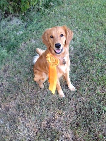 Echo & Vicki's 1st attempt at field - and they Qualified.  Leg # 1.  Sept 14 & 15, 2014 - St. Louis, MO
