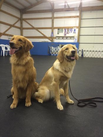 Ani & Oakley after class - June 2014
