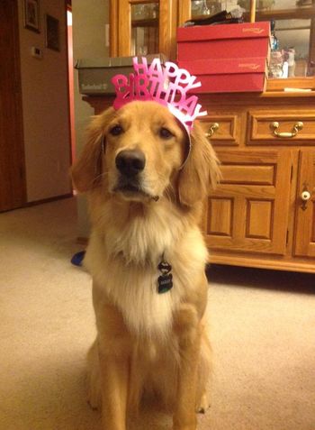 Happy Birthday, Oakley & the Play Litter 9-1-15
