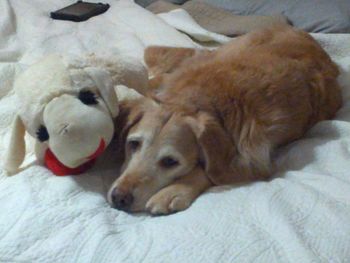 Tate & his big new stuffed animal.  Who is that?
