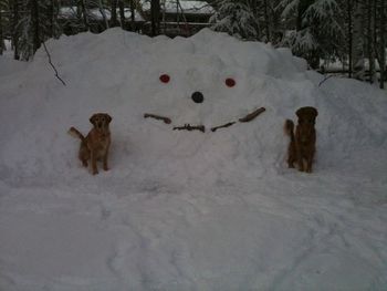 Kelly & Risky with their snow friend in the front yard. Happy Holidays
