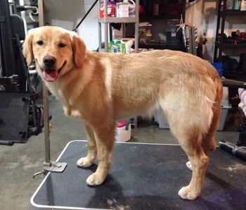 River's first "big girl" spa night. She was a good girl!
