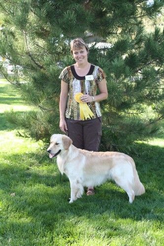 Forbes @ 2010 GRCA National Specialty with his CCA ribbon. September 2010 Photo by Pam L.
