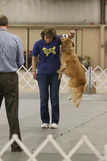 Lacey & Debbie @ Sunflower Cluster Dog Show Wichita KS April 3-5, 2015

