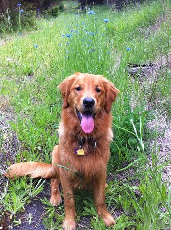 Booker says hi! June 11, 2014
