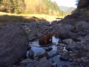 Yuba - Willamette National Forrest Nov 12, 2014
