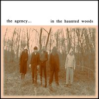 In the Haunted Woods by The Agency...