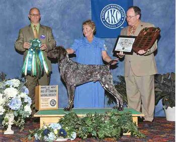 2009 German Shorthaired Pointer Nationals Award of Merit Best Bred By Exhibitor

