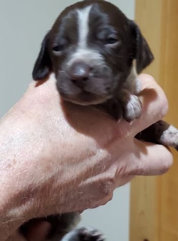 We have eyes!
