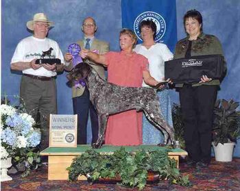 2009 German Shorthaired Pointer Nationals Winners Dog
