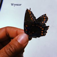 Wynter by Convict Julie