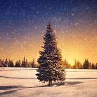 Album: Prepare the Way -  Carols for Advent & Christmas by Ben Johnston-Urey