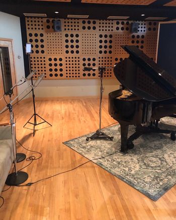 The Terrarium Recording Studio's Neumann U87ai pair used as front mics.
