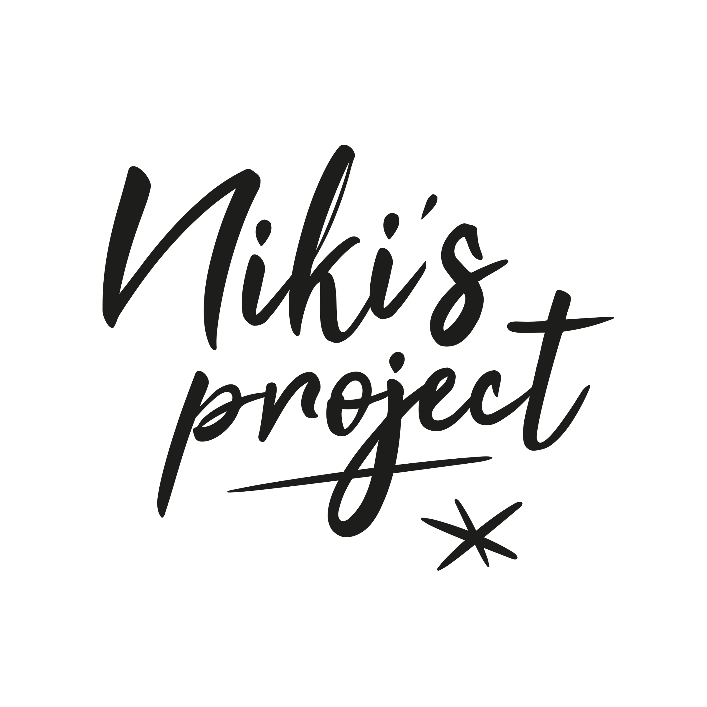 Niki's Project