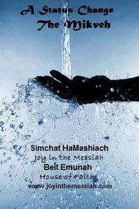 The Mikveh ~ A Status Change Workbook and CD